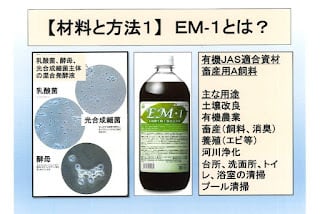EM 活性液 2リットル - 画像 (4)