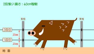 イノシシ ネズミ 鳥避けリング 4本 - 画像 (2)