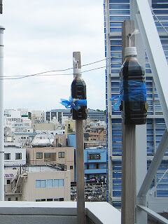 イノシシ ネズミ 鳥避けリング 4本 - 画像 (3)