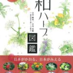 アクセサリー.ファッション・雑貨