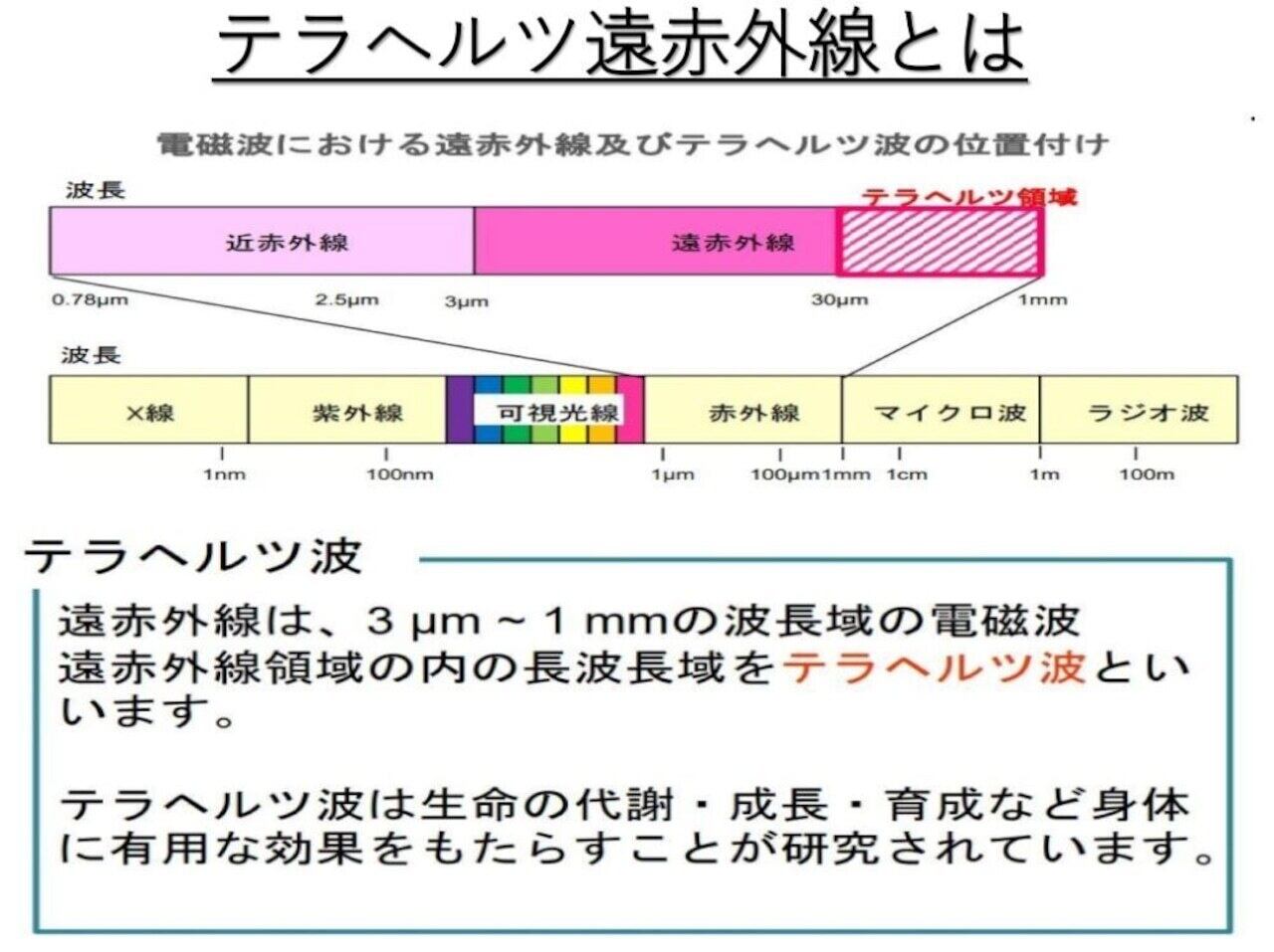 テラホット(温浴器) - 画像 (4)